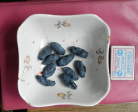 DSCN5112.png