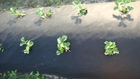 DSC02027.JPG