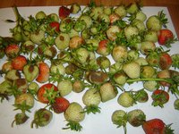DSC03878.JPG