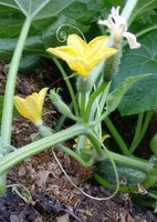20150618_195727~3.jpg