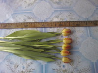 SP_A0186.jpg