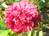 DSCN9073.JPG