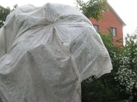 IMG_39601.jpg