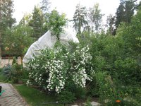 IMG_39571.jpg