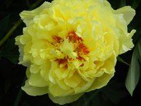 DSCN9092.JPG