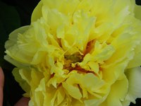 DSCN9046.JPG