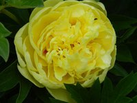DSCN9047.JPG