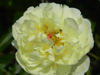 DSCN8936.JPG