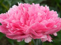 DSCN9053.JPG