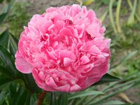 DSCN9051.JPG