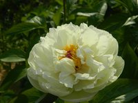 DSCN8846.JPG