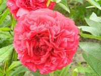 DSCN9058.JPG