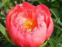 DSCN8943.JPG