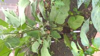 WP_20150628_10_15_09_Pro.jpg
