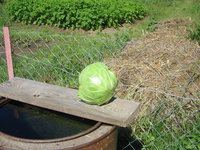 IMG_2873.JPG