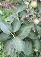 IMG_1693.JPG