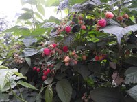 20150628_1355477.jpg