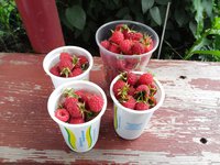 20150628_1414343.jpg