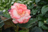 DSC_0147.JPG