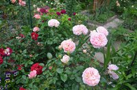 DSC_0127.JPG