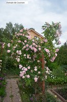 DSC_0121.JPG