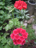 IMG_8620.jpg