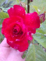 2015-06-14 17-10-08.JPG