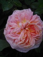 2015-06-19 20-05-57.JPG