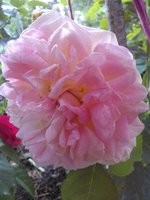 2015-06-27 20-38-05.JPG