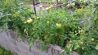 WP_20150629_014.jpg