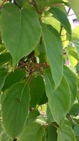 WP_20150629_011.jpg