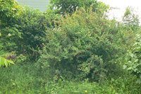 P1220157.JPG
