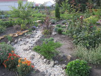 IMG_0252[1].jpg