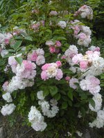 2015-06-24 18-24-22.JPG