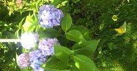 WP_20150702_14_23_29_Pro.jpg