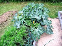 IMG_6409.jpg