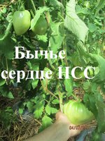 Изображение 118.jpg