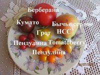 Изображение 121.jpg
