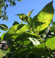 IMG_1866.JPG