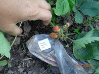 DSC00048.jpg
