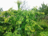 20150709_094029.jpg