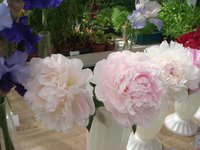 DSC05057 2.jpg