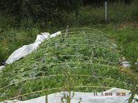 DSCF6545.jpg