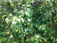 20150715_090511.jpg