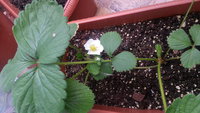 20150705_171808.jpg