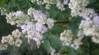 20150529_134634.jpg