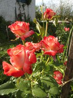 Императрица Фарах 4.jpg