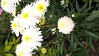 WP_20150720_15_28_22_Pro.jpg