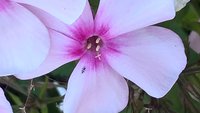 WP_20150725_19_17_16_Pro.jpg