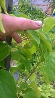 WP_20150727_006.jpg